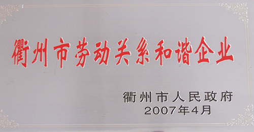 衢州市勞動關系和諧企業獎牌（2007年）